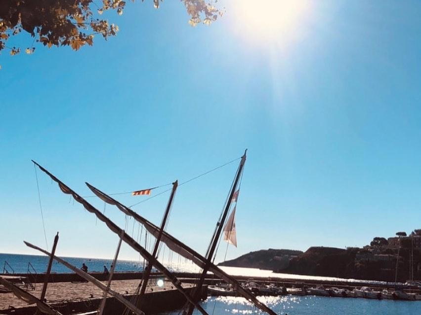 Dans Le Quartier Recherche Du Moure * Collioure
