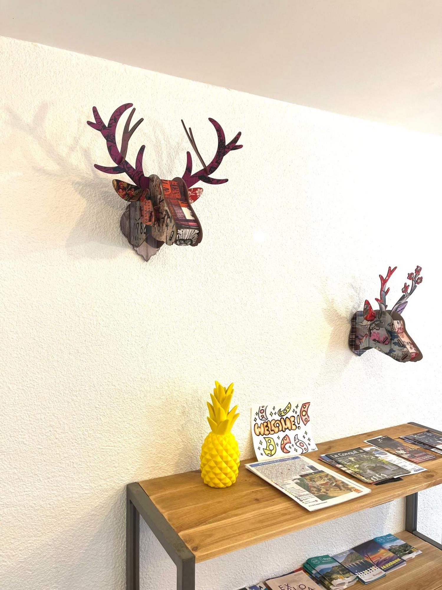 Dans Le Quartier Recherché Du Mouré Appartement